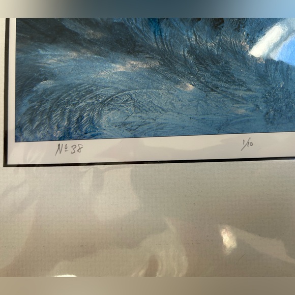 The Secret World of Frost Archival pigment print of a photograph by Mark Hopkins - Picture 2 of 4